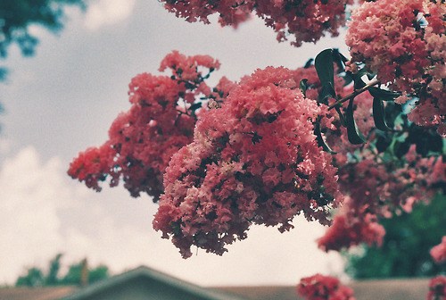 执笔在这一世光年，与你书三世繁花_WWW.TQQA.COM