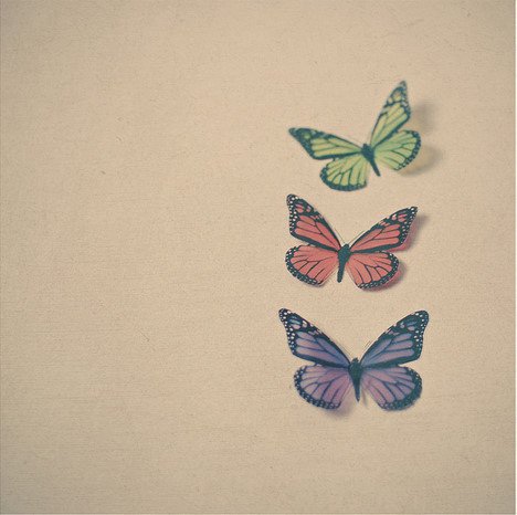 爱有多深,恨就有多浓_WWW.TQQA.COM