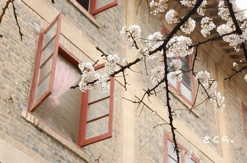 梵花劫_WWW.TQQA.COM