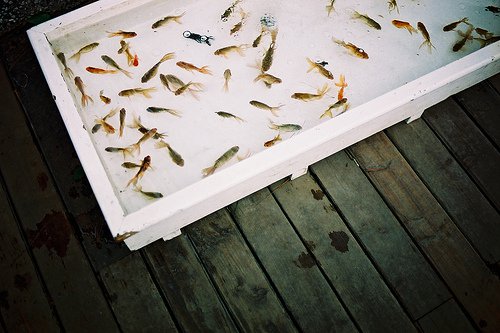 人来人往，慢慢也就习惯了_WWW.TQQA.COM