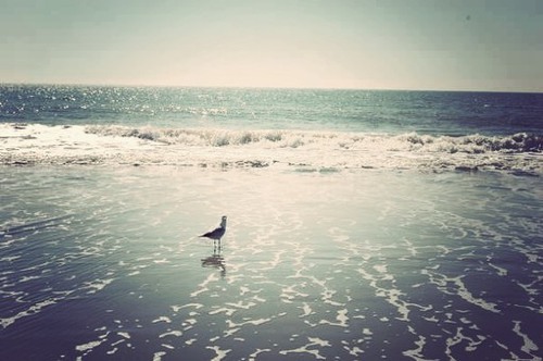 活着不是给别人看的  日系风格海边唯美图片_WWW.TQQA.COM