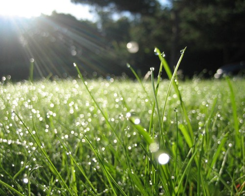 快乐是自己创造出来的 治愈系lomo图片_WWW.TQQA.COM