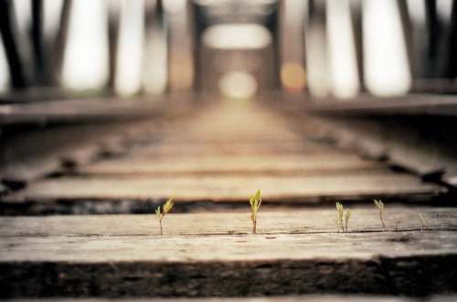 带上照相机开始一程旅行吧_WWW.TQQA.COM