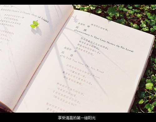 你对于我，就像一个宿命_WWW.TQQA.COM