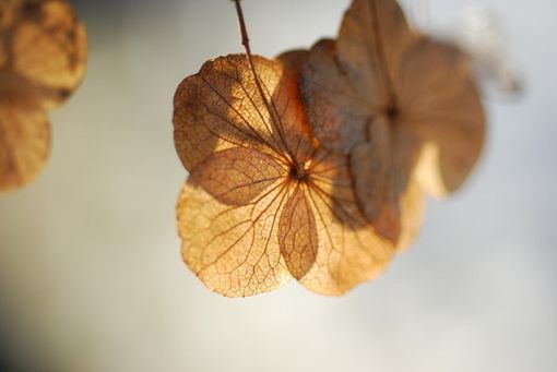 蓦然回首，才发现人活着是一种心情_WWW.TQQA.COM