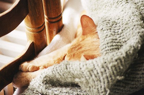 一万个美丽的未来，抵不上一个温暖的现在_WWW.TQQA.COM