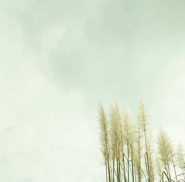 画面简单却清新治愈系的静物美图图片_WWW.TQQA.COM