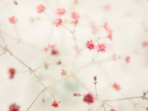 带着幸福回荡在花开漫野的风里_WWW.TQQA.COM