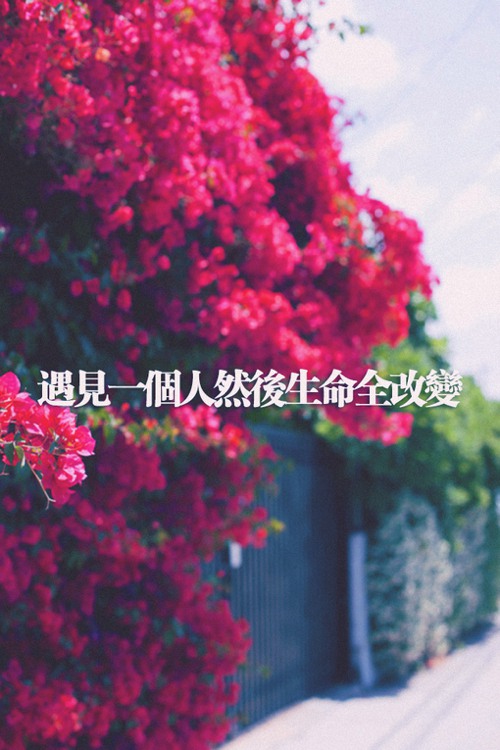 微笑向前看，不记来时路  唯美图片带字_WWW.TQQA.COM