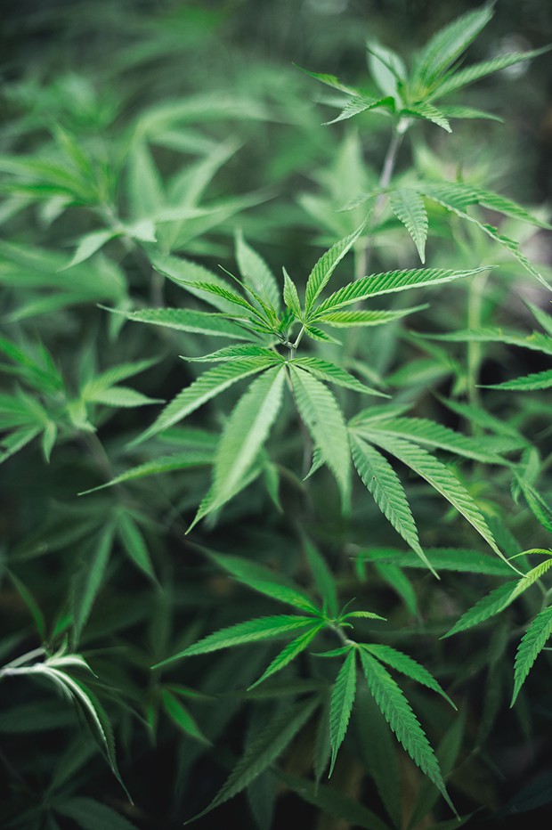 超美文艺风的自然风光小清新美图_WWW.TQQA.COM