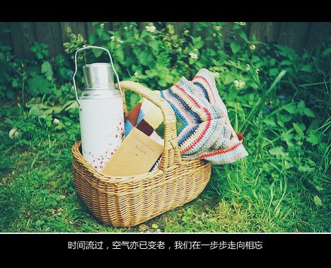 量贩一组安静系小清新图片_WWW.TQQA.COM