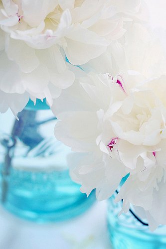 有心，晴天便在_WWW.TQQA.COM