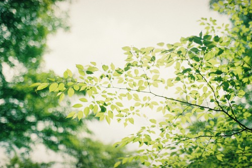 快乐是自己创造出来的 治愈系lomo图片_WWW.TQQA.COM