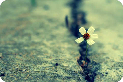 途中遇到的人你能记住多少  唯美意境小清新图片_WWW.TQQA.COM