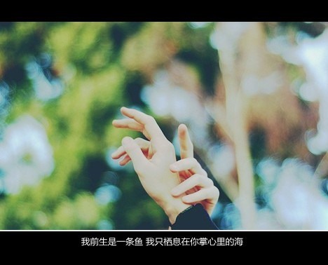 那些我没来得及说出的话  治愈系小清新图片带字_WWW.TQQA.COM