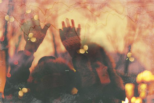 顺其自然，不必惋惜 -唯美图片_WWW.TQQA.COM