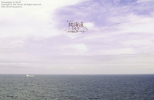 听说，北海道有一片美丽的花海_WWW.TQQA.COM