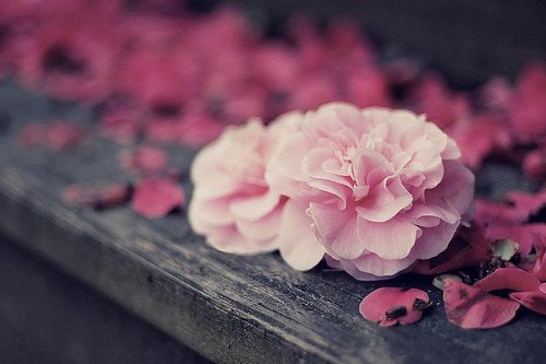 活着，就是幸福_WWW.TQQA.COM