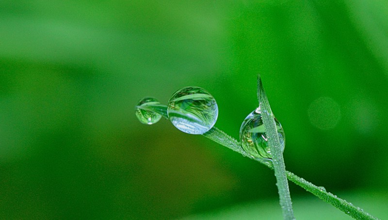 晶莹剔透的水珠水滴唯美图片_WWW.TQQA.COM