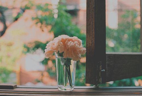 生活是人间在繁华的演出_WWW.TQQA.COM