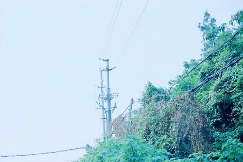 在初夏静好的日子里_WWW.TQQA.COM