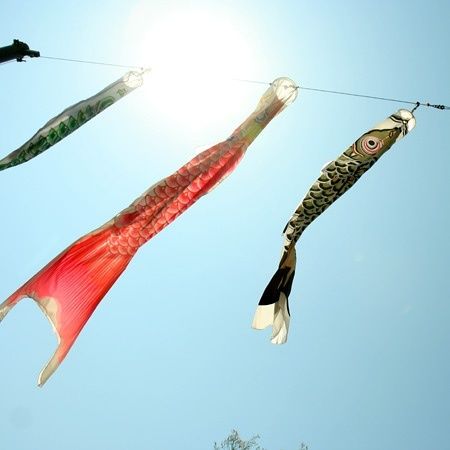 鲤帜_WWW.TQQA.COM
