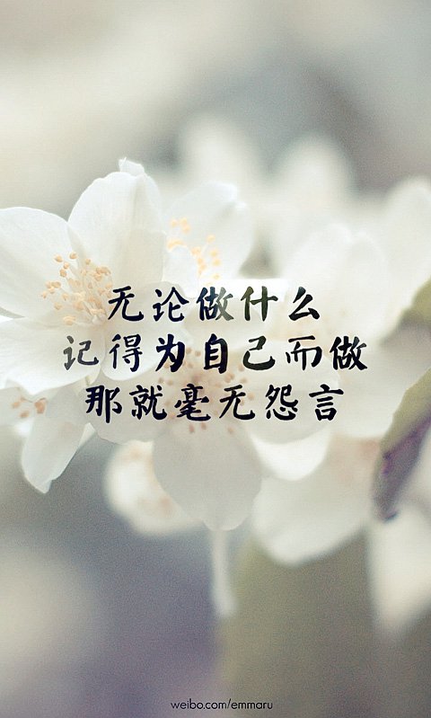 你再怎么不舍，我们终归是回不去了_WWW.TQQA.COM