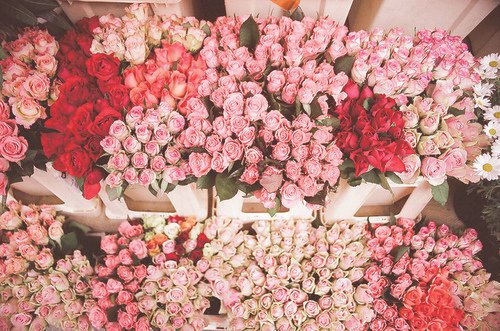 人来人往，慢慢也就习惯了_WWW.TQQA.COM