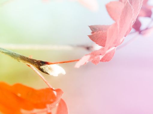 蓦然回首，才发现人活着是一种心情_WWW.TQQA.COM