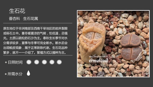 多图详解多肉植物，你懂不呀？_WWW.TQQA.COM