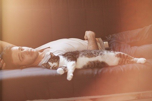 美图：爱猫的人都有一个细腻的灵魂_WWW.TQQA.COM