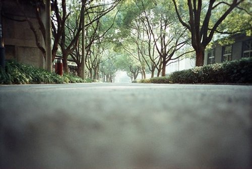 我们的痛苦来自于看不透、舍不得、输不起、放_WWW.TQQA.COM
