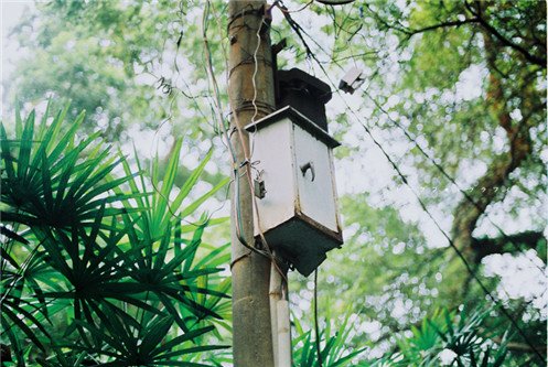 只是因为我们还足够年轻_WWW.TQQA.COM