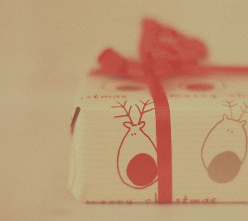 10张清新的日系美图搭配唯美的文字_WWW.TQQA.COM