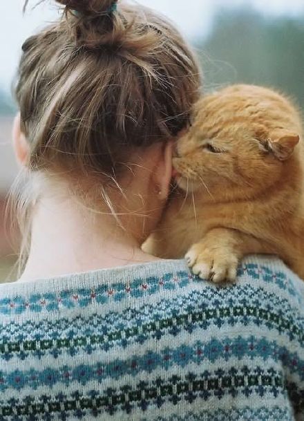 清新甜美的女生怀抱着猫咪的唯美图片整理_WWW.TQQA.COM