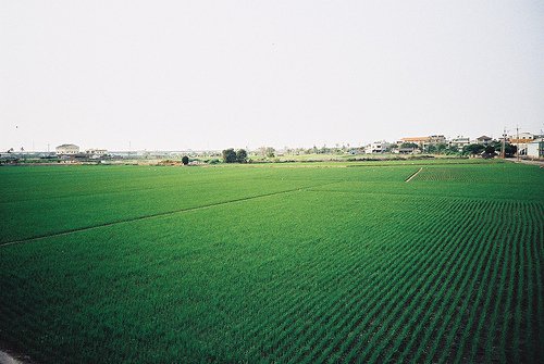 没关系，笑笑就过去吧_WWW.TQQA.COM