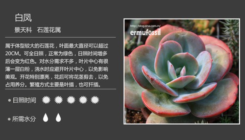 多图详解多肉植物，你懂不呀？_WWW.TQQA.COM