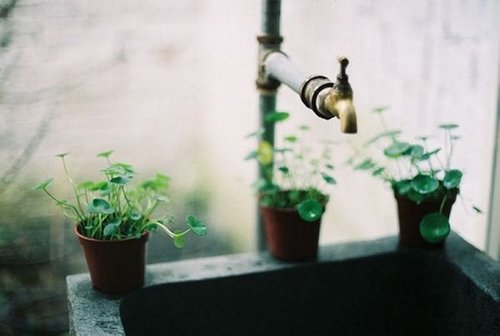 时光亦过，那年长安门庭落_WWW.TQQA.COM