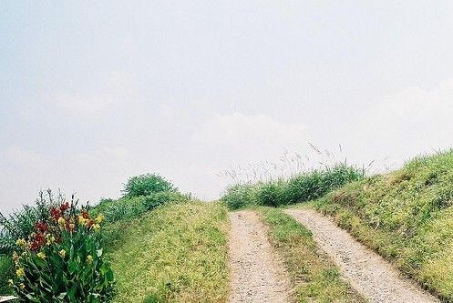 一组简单且安静的LOMO图片_WWW.TQQA.COM