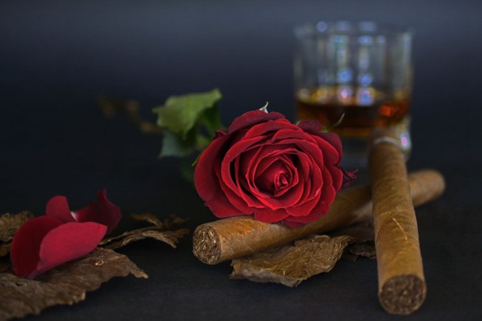 古巴产雪茄香烟唯美图片_WWW.TQQA.COM