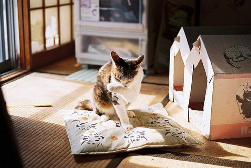 我从未留住任何人_WWW.TQQA.COM