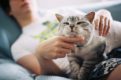 美图：爱猫的人都有一个细腻的灵魂_WWW.TQQA.COM