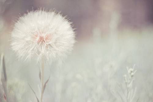 它会连成一条幸福的直线 -日系_WWW.TQQA.COM