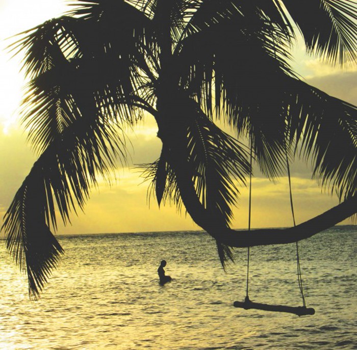 高大挺拔的热带椰子树唯美图片_WWW.TQQA.COM