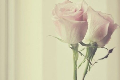 在自己心中盖了座花园_WWW.TQQA.COM