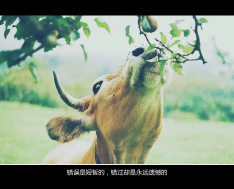 没有前因，无关风月，只是爱了_WWW.TQQA.COM