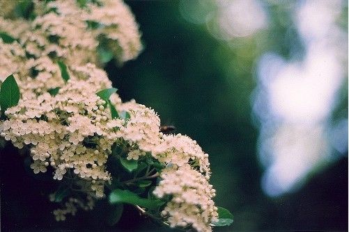 一组简单且安静的LOMO图片_WWW.TQQA.COM