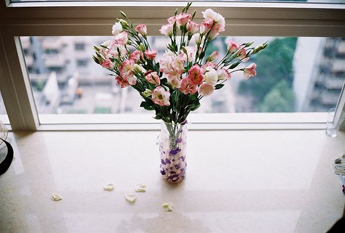 不经意间，我们错过了太多-小清新图片_WWW.TQQA.COM