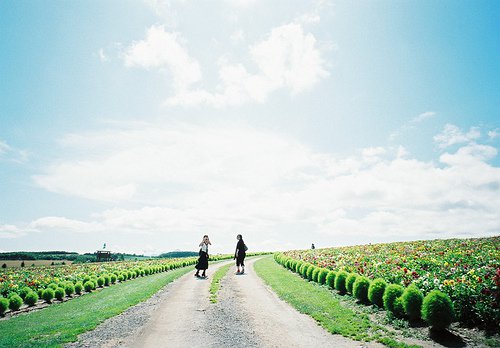 人来人往，慢慢也就习惯了_WWW.TQQA.COM