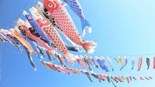 鲤帜_WWW.TQQA.COM